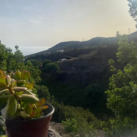 Casa Nieves De Mario * Santa Cruz de la Palma (Isla de la Palma)